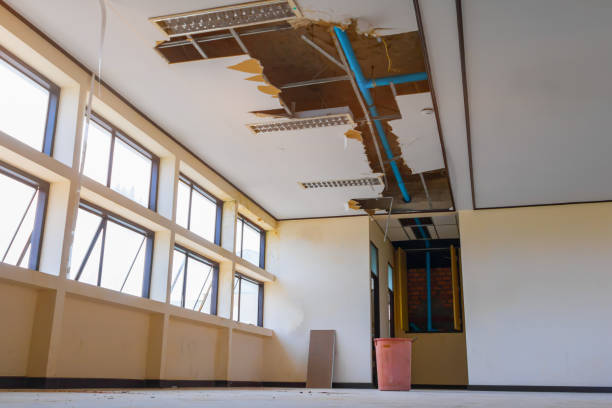 Best Sewage cleanup and water damage restoration  in Norlina, NC