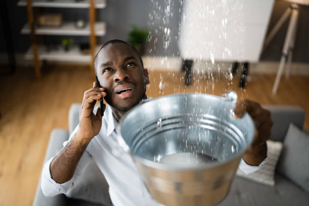 Best Local water damage restoration  in Norlina, NC