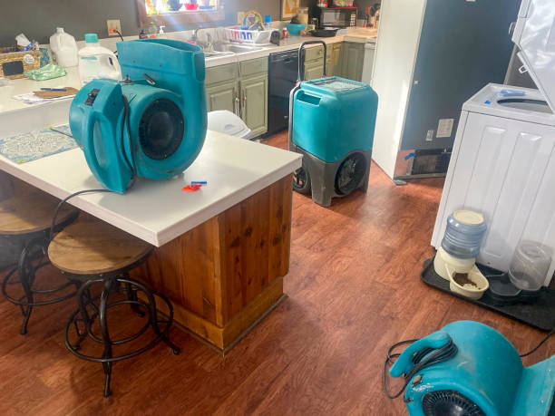 Best Water damage cleanup near me  in Norlina, NC