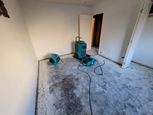 Best Water damage restoration near me  in Norlina, NC