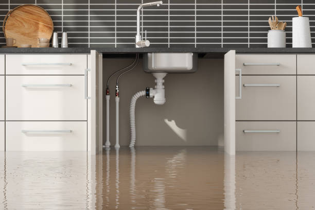 Best 24/7 water damage repair  in Norlina, NC