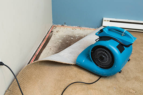 Best Emergency water damage restoration  in Norlina, NC